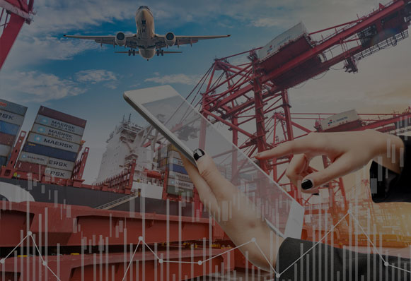 关务/出口退税顾问