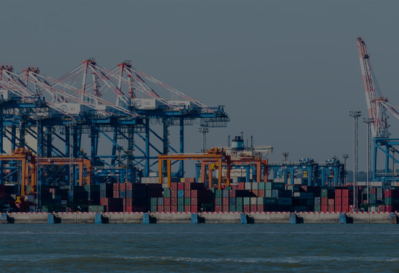 1039市场采购贸易